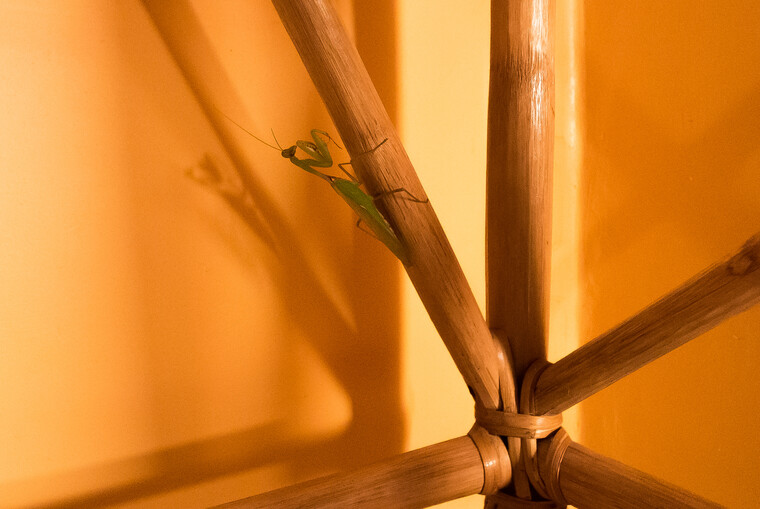 India 2014 - Goa 004.jpg